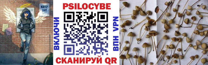 Галлюциногенные грибы Magic Shrooms  Терек 
